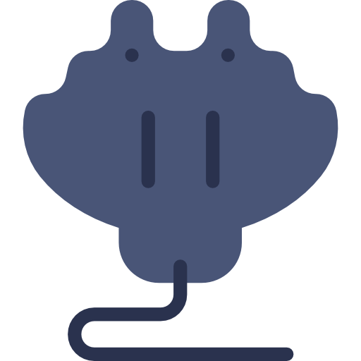 Manta ray